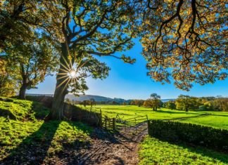 Immobilier en terrain agricole